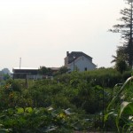 dsc02533